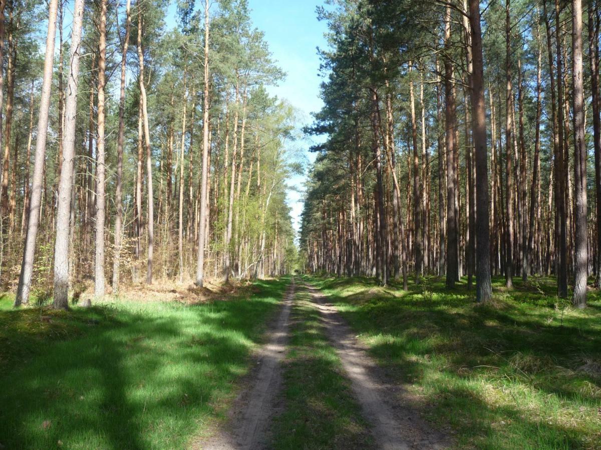 Ferienwohnung Ostseewald Rostock Extérieur photo